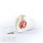 ជើងអំពូលជាប់ជញ្ជាំង