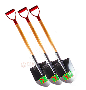 ប៉ែល